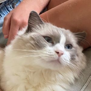 Meet your Posher, Jayla